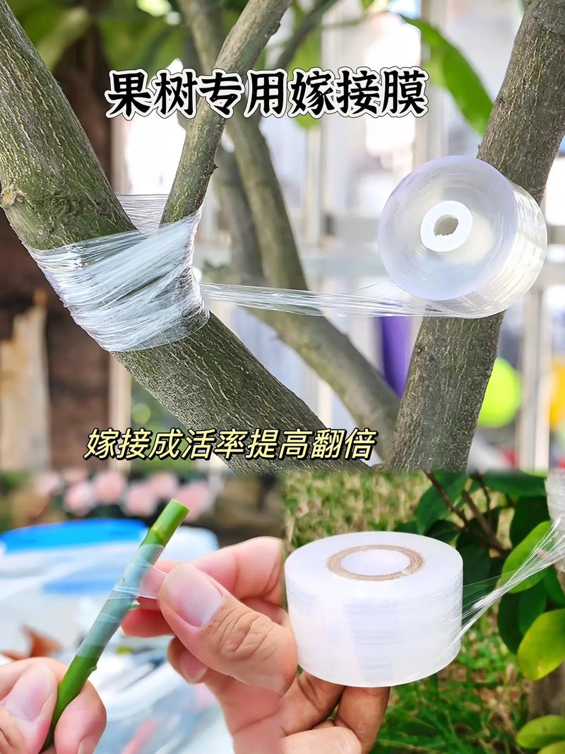 嫁接专用膜,透光性好拉伸性强,带静电自贴效果,果树嫁接成活率